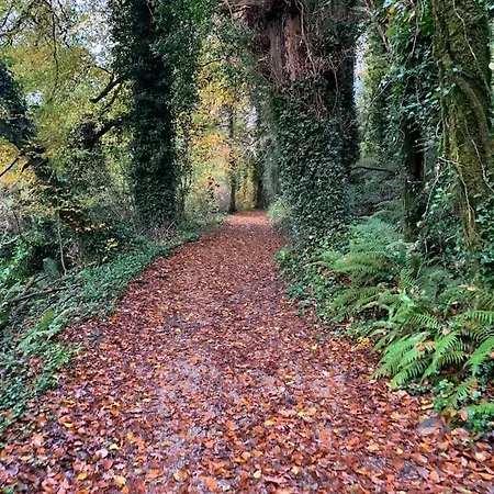 Mount Juliet Luxury Holiday home