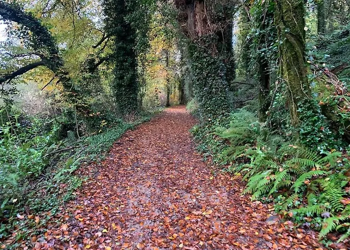 Mount Juliet Luxury Tatil Evi